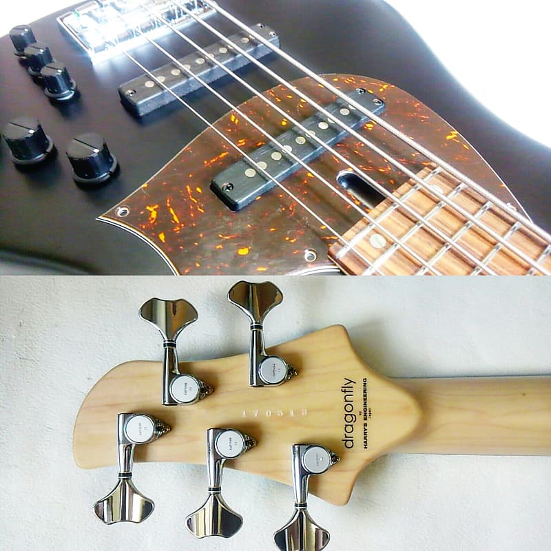 dragonfly CS5 Standard Order Made | Reverb