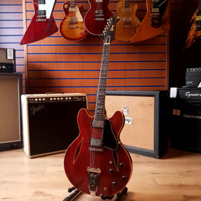 Gibson Trini Lopez Standard 1967 for sale
