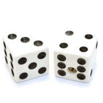 White Dice Knobs - 2 Pack - Universal for Guitar and Bass for sale