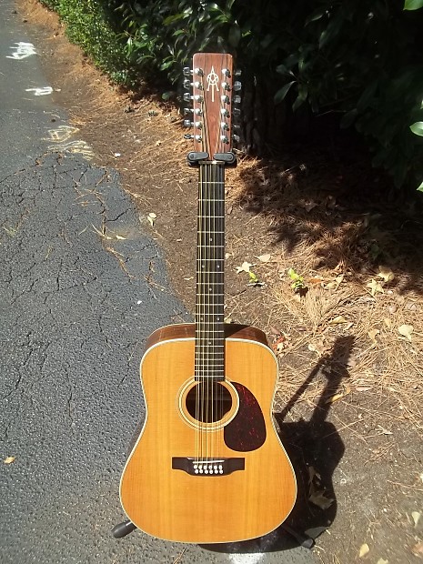 Alvarez yairi 12 string top