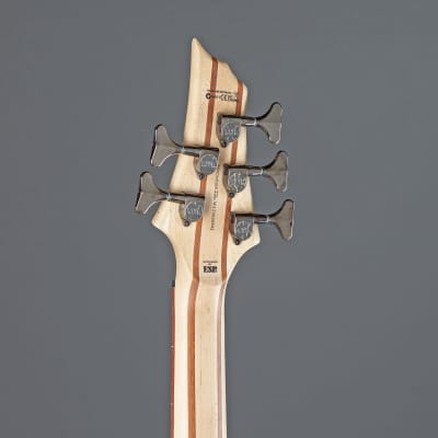 ESP LTD B-205SM-FL 5-String Bass G uitar   - 5-String Electric Bass image 5