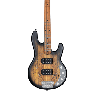 Sterling by Music Man StingRay 5 HH RAY35HH Spalted Maple, Natural Burst Satin image 4