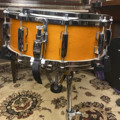 Pearl Masters MCX Maple Snare drum, 14"x5.5" liquid amber finish, 6-ply (2009) image 4