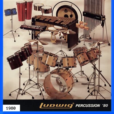 Ludwig 10” Tunable Wood Shell Tambourine Double-Row Jingles image 12