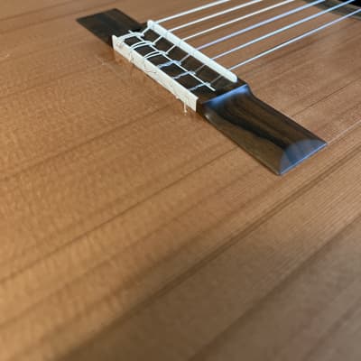 Kim Lissarrague 2022 Lattice Braced Cedar (with video!) Concert Guitar 2022 image 7