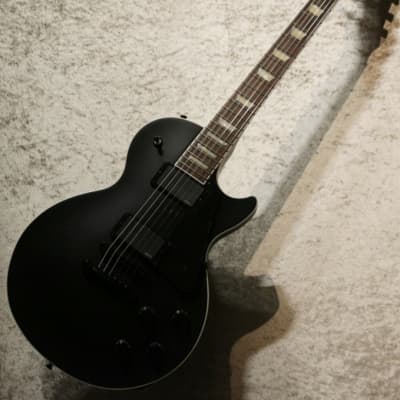 Fujigen/Fgn Neo Classic Series NLS10RMPTBE #K210511[3.85kg