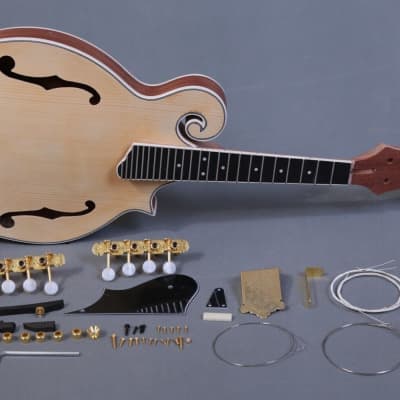 DIY-MAKE YOUR OWN KENTUCKY STYLE F HOLE 8 STRING CARVED TOP ACOUSTIC MANDOLIN image 1