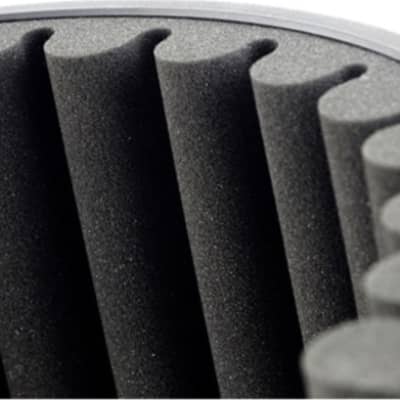 sE Electronics RF-X Reflexion Filter Recording Acoustic Filter image 5