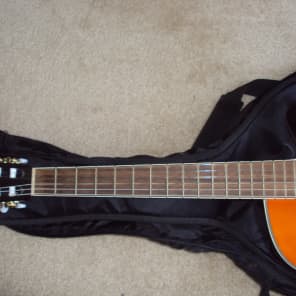 Ibanez AEG10NE Nylon String Cutaway Acoustic-Electric Guitar image 5