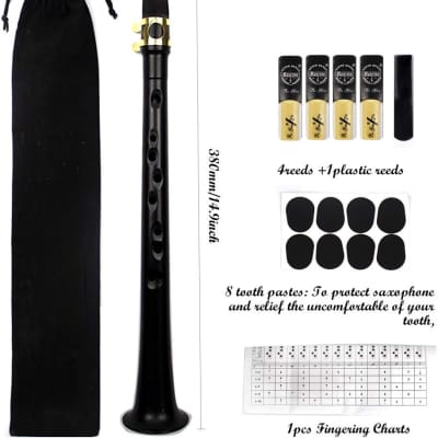 Pocket Saxophone Kit, Mini Sax Portable Woodwind Instrument Professional  instruments with 4 Reeds, 8 Dental pad, Fingering Charts, Carrying Bag for  Amateurs and professional performers (black)