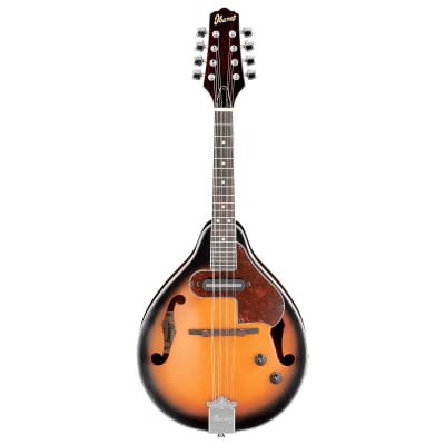 エピフォンUSA マンドリン　希少 M M２０ Epiphone Bluegrass MM-20 Mandolin for sale online | eBay