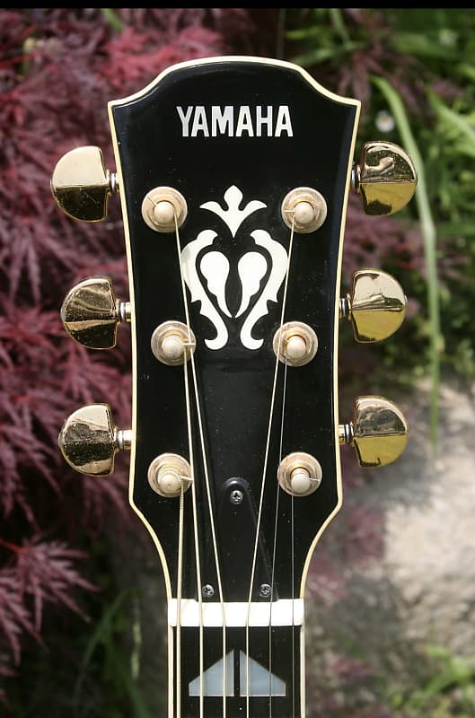 YAMAHA CJ-22 Jumbo Acoustic Guitar