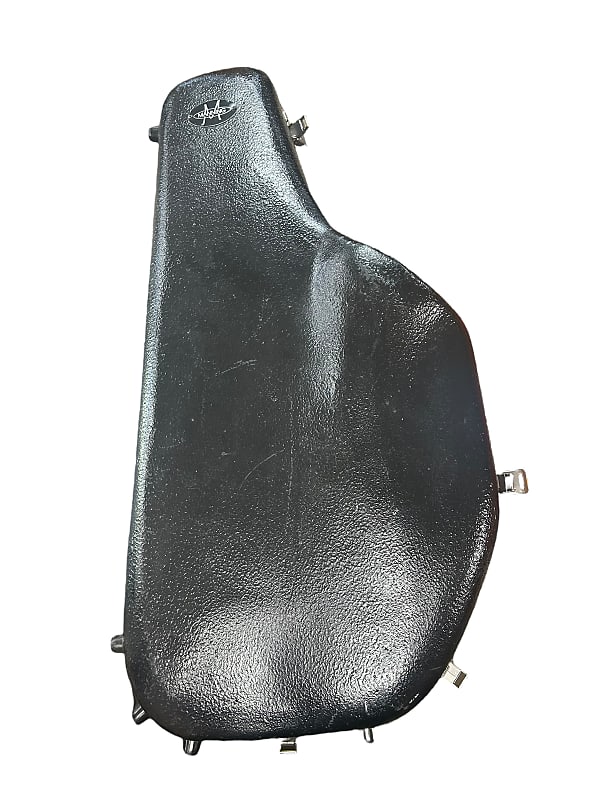 Manning Custom Alto Sax/Flute Combo Case Reverb