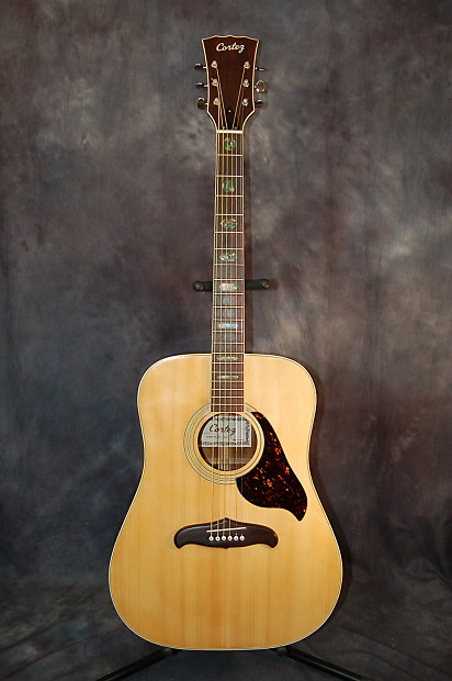 Cortez clearance acoustic guitar