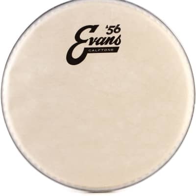 Evans Calftone Drumhead - 8 inch image 1