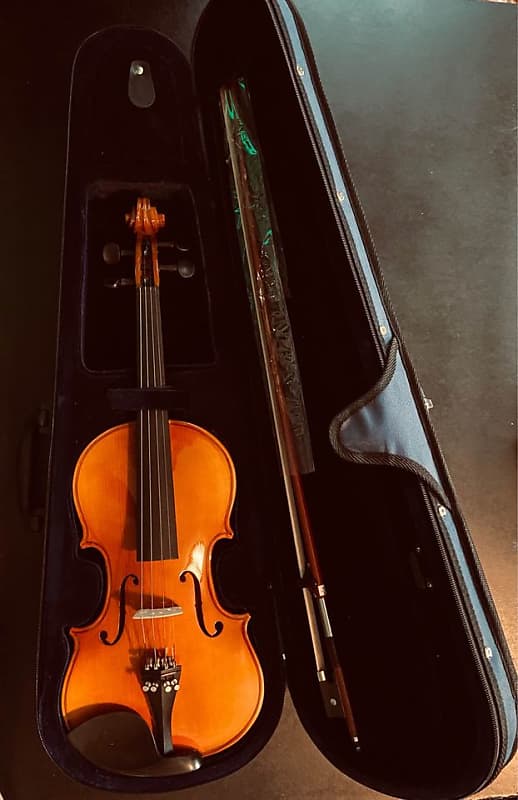 未使用品 Jurgensmeyer Electric Violin 4/4サイズ Jurgensmeyer 4/4 Electric Violin With Original Hard Carrying