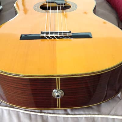 Takamine deals e30 nylon