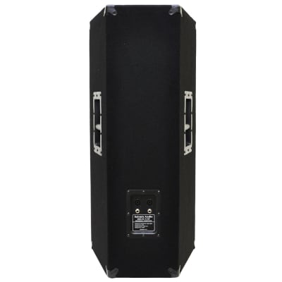 Dual Premium 12" PA/DJ Speaker Cabinet with Titanium Horns - NEW image 4
