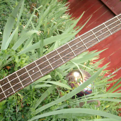ESP Custom Shop Order SUGI (E) Bass  2011 Purple Heart Wood & Wenge CoA One of a Kind !! image 12