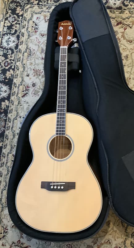 Ashbury AT14 Tenor Guitar , GDAE set up, with gig case | Reverb