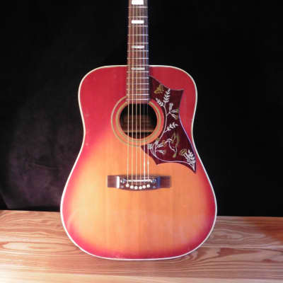 Terada hummingbird deals guitar