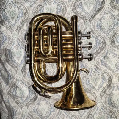 Em Winston Tpl400 Pocket Trumpet image 1