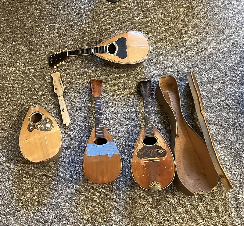 Four Project Bowlback Mandolins Reverb