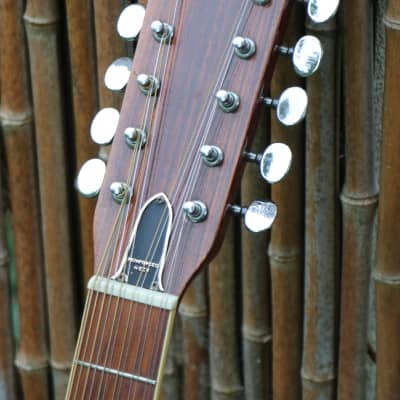 YASUMA NEW ANCE Custom No.130カワセ楽器 Acoustic Guitar Yasuma New Ance Custom No.130 Kawase Musical