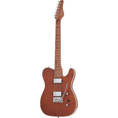 シェクターschecter van nuys diamond Traditional Van Nuys