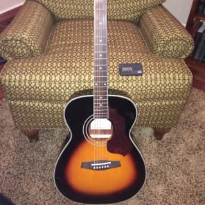 Ibanez sgt110 sales