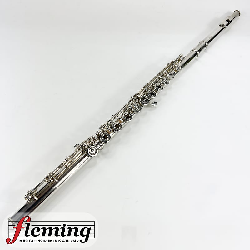 Wm. S Haynes Handmade Professional Flute (1976 w/ Straubinger Reverb