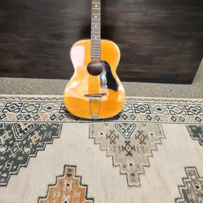 Crucianelli Acoustic for sale
