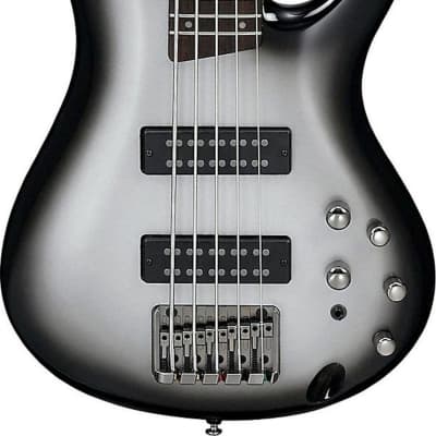 Ibanez SR305E 5-String Electric Bass Guitar Bundle image 1