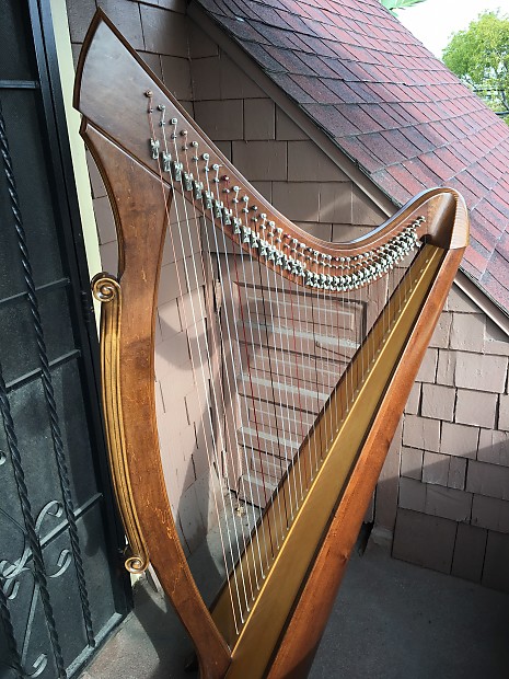 Salvi deals mcfall harp