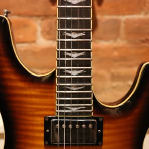 税込】 SCHECTER シェクター ダイアモンドシリーズ C-1-PLUS エレキ