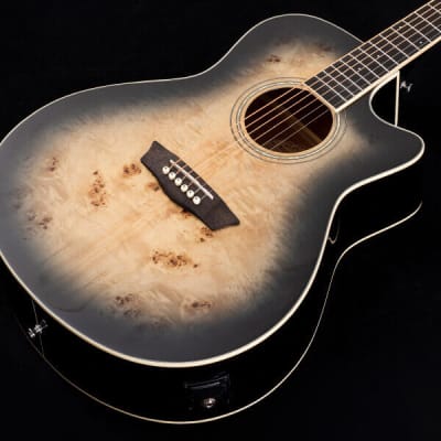 Washburn DFBACEB Deep Forest Burl ACE Grand Auditorium 6-String RH Acoustic Electric Guitar for sale