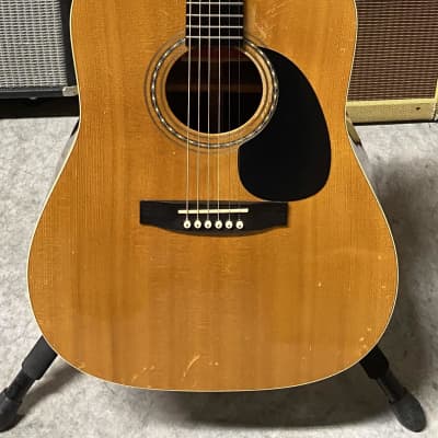 1970's Norman B20 - Includes Hardshell Case for sale