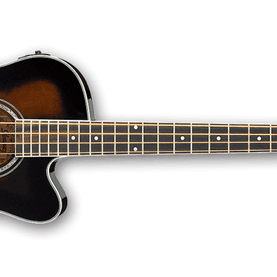 Ibanez AEB10E Acoustic-Electric Bass Guitar in Dark Violin Sunburst High Gloss Finish