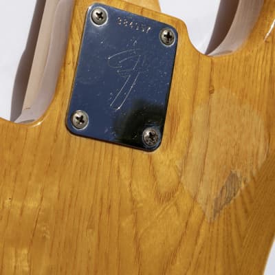 Fender Precision Bass Fretless with Maple Fingerboard 1973 - Natural image 7