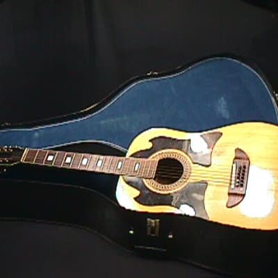A Vintage Kay 12 String Acoustic Guitar in a Case  2 G for sale