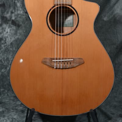 Breedlove Discovery S Concert Nylon CE Red Cedar w/ FREE Same Day Shipping image 1