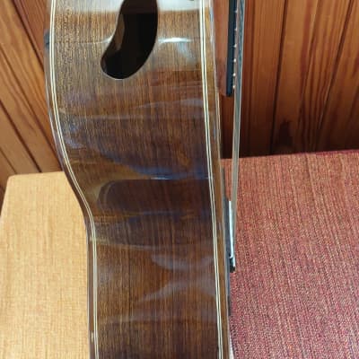 Jefferson Barros 7-String Guitar, (steel & nylon strings) 2023 image 10