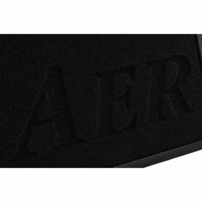 AER Alpha | 2 chnl 40-Watt 1x8" Acoustic Guitar Combo. New with Full Warranty! image 11