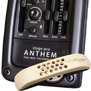 Amazon.com: LR Baggs StagePro Anthem : Musical Instruments