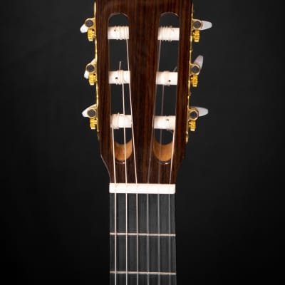 Esteve 7SR Handmade Classical Guitar image 4