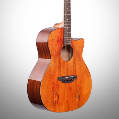 Luna Gypsy Grand Auditorium Acoustic Guitar, Exotic Spalted Maple image 5