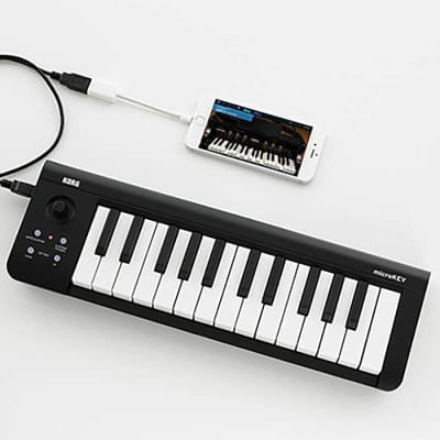 Korg microKey-25 Compact MiDi Keyboard.   Free Shipping! image 5