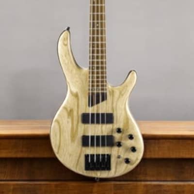 ベース Conti Cort C4 Plus ZBMH