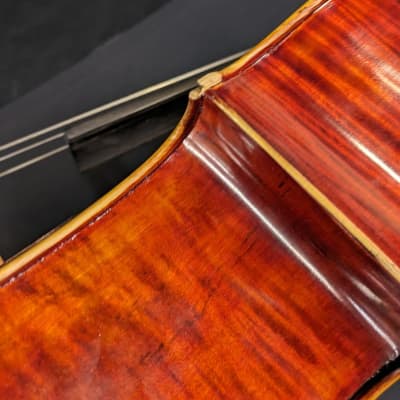 Model 300 HK Schmidt 1/2 Cello Cello (Ontario,CA) image 5