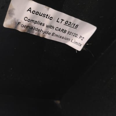 Acoustic Lead Guitar Series G10 10W 1x8 Guitar Combo Amp Amplifier image 7